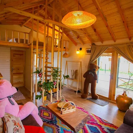 Sapanca Agac Evler Guest house
