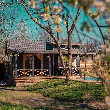 Sapanca Ağaç Evler