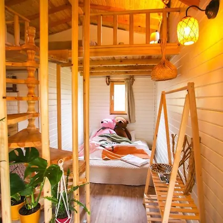 Sapanca Ağaç Evler * Sakarya (Marmara)